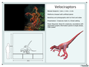 velociraptor_museum_mating.png