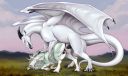 velvetrequiem_unicorn_dragon.jpg