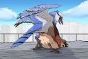 zafara_birds.jpg