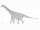 zw3_camarasaurus.jpg