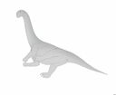 zw3_camarasaurus_cloaca.jpg