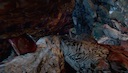 ictonica_nergigante_and_rathalos_1.mov